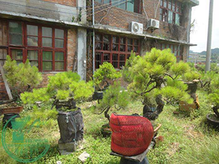 DSC03170.jpg