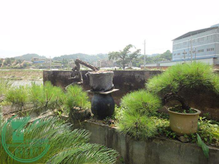 DSC03179.jpg