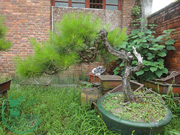 DSC03195.jpg