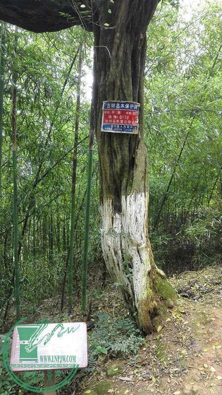 IMG_20150517_111518.jpg