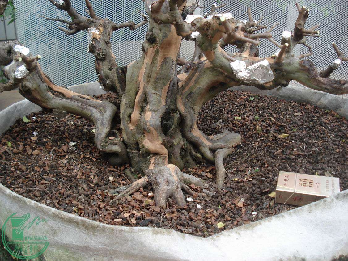 С DSC00014.JPG