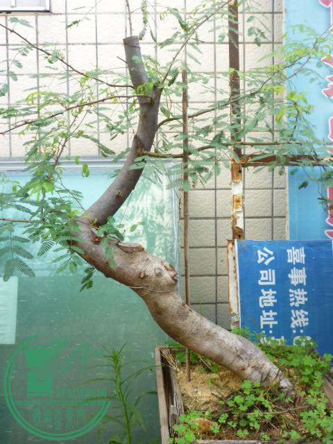 P1080350.JPG