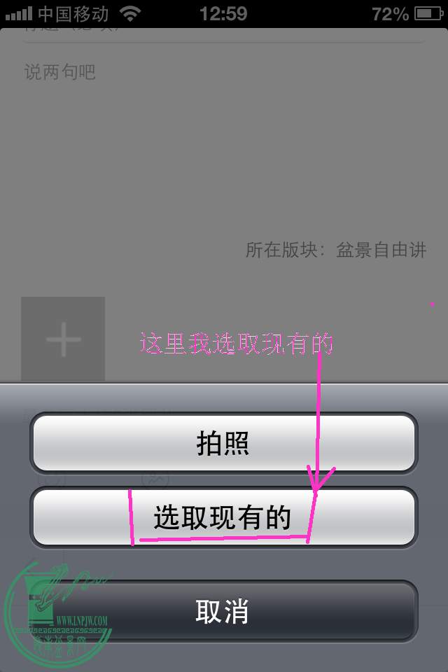 IMG_7184.PNG
