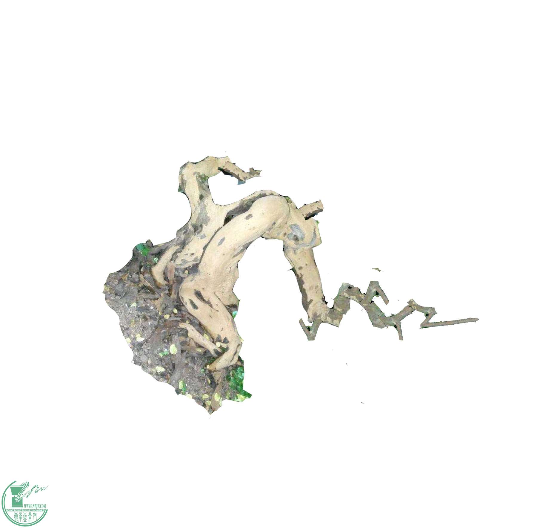δ-2.jpg