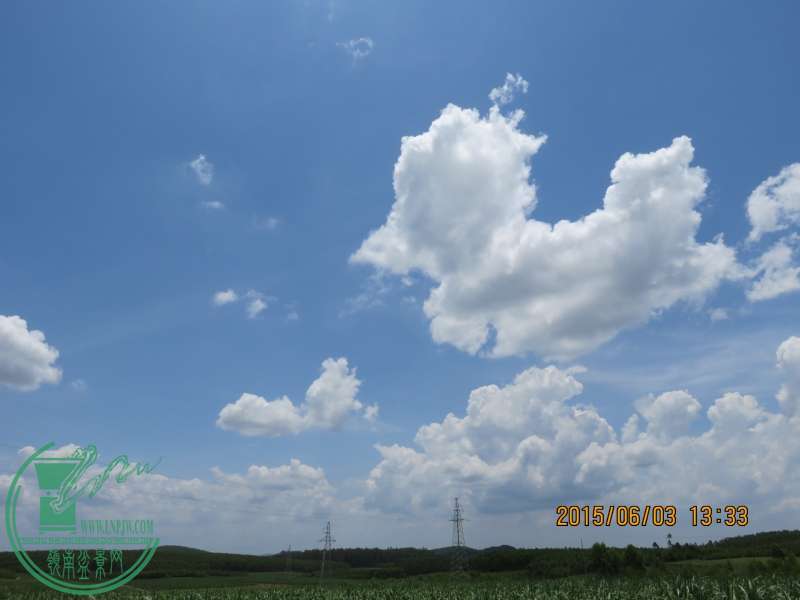 IMG_0194_conew1.jpg
