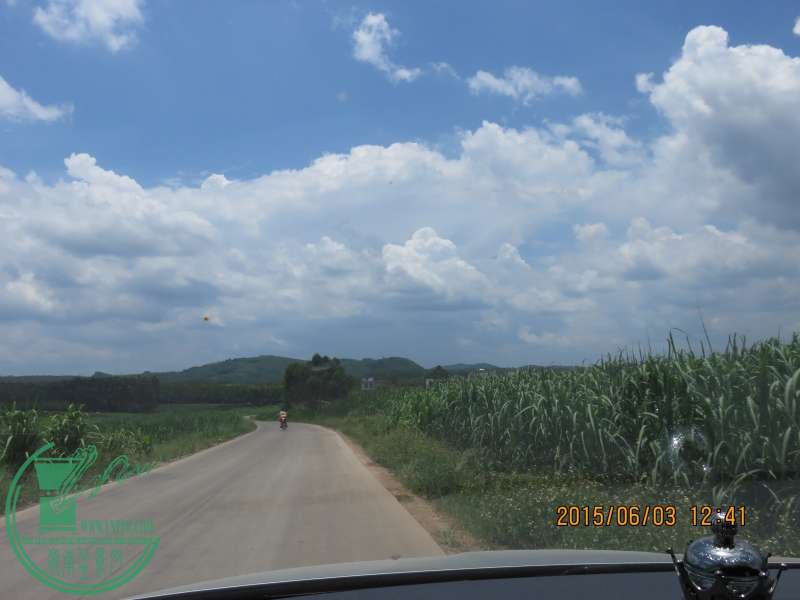IMG_0188_conew1.jpg