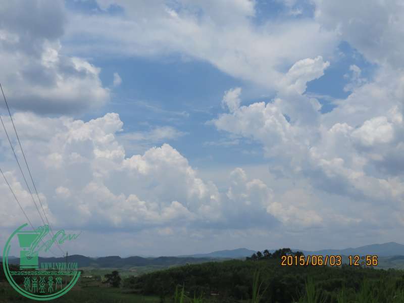 IMG_0190_conew1.jpg