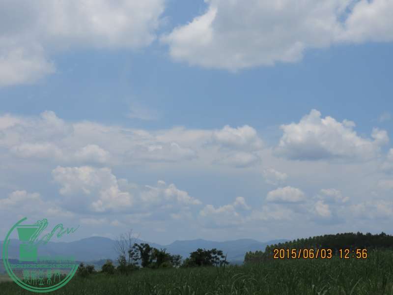 IMG_0191_conew1.jpg