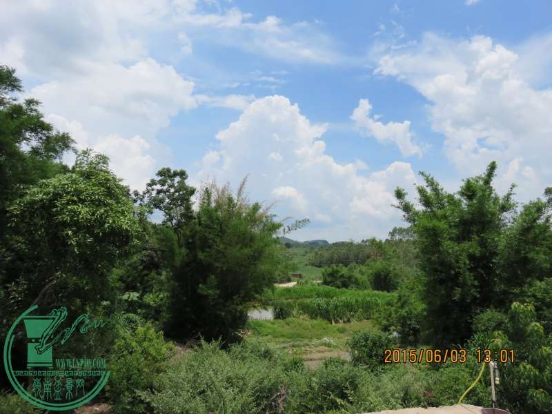 IMG_0193_conew1.jpg