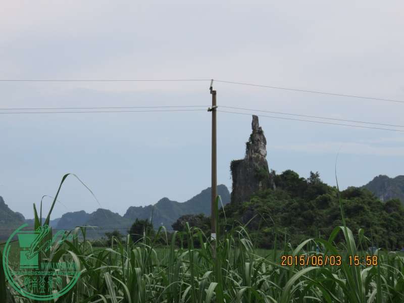 IMG_0197_conew1.jpg
