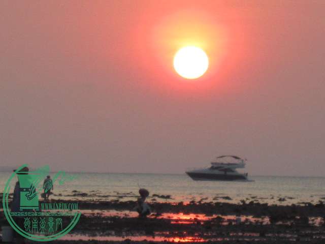 IMG_8988.JPG