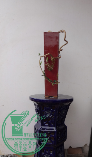 QQͼƬ20150506114124.png
