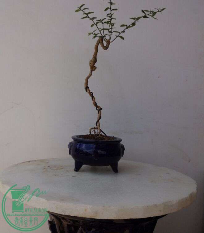 QQͼƬ20150603104718.jpg