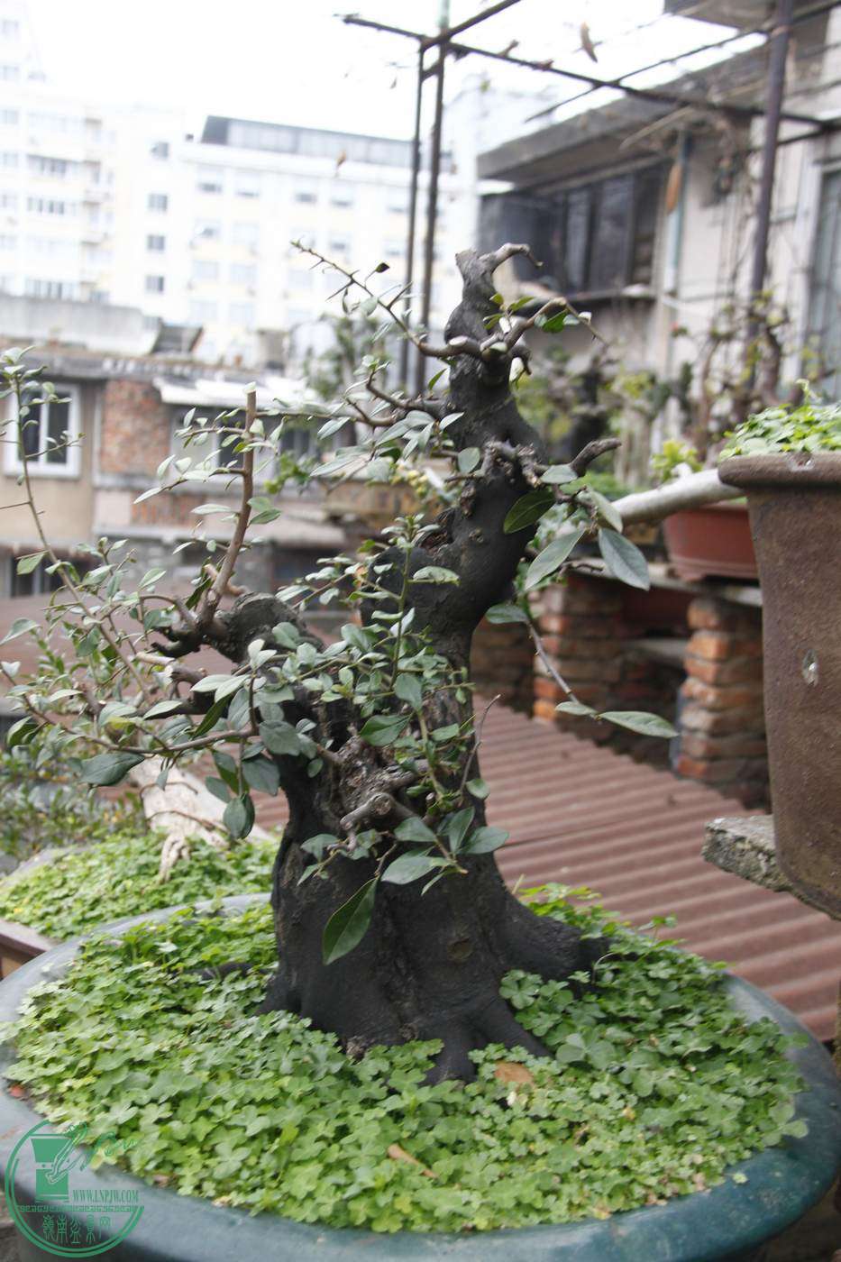 _MG_2070.jpg