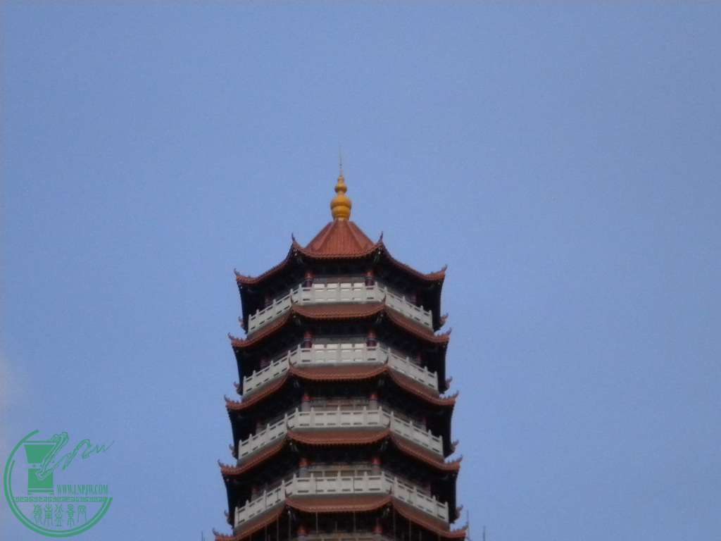 DSCN8310.JPG