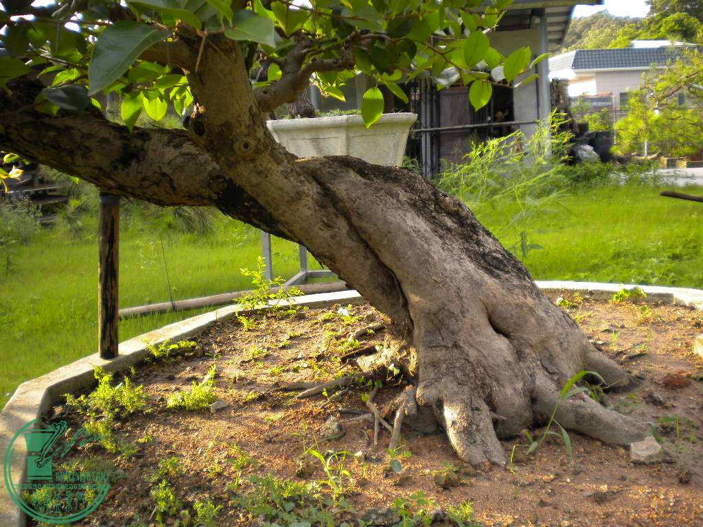 DSCN8279.JPG
