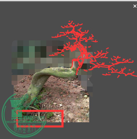 QQͼƬ20150610161641.png
