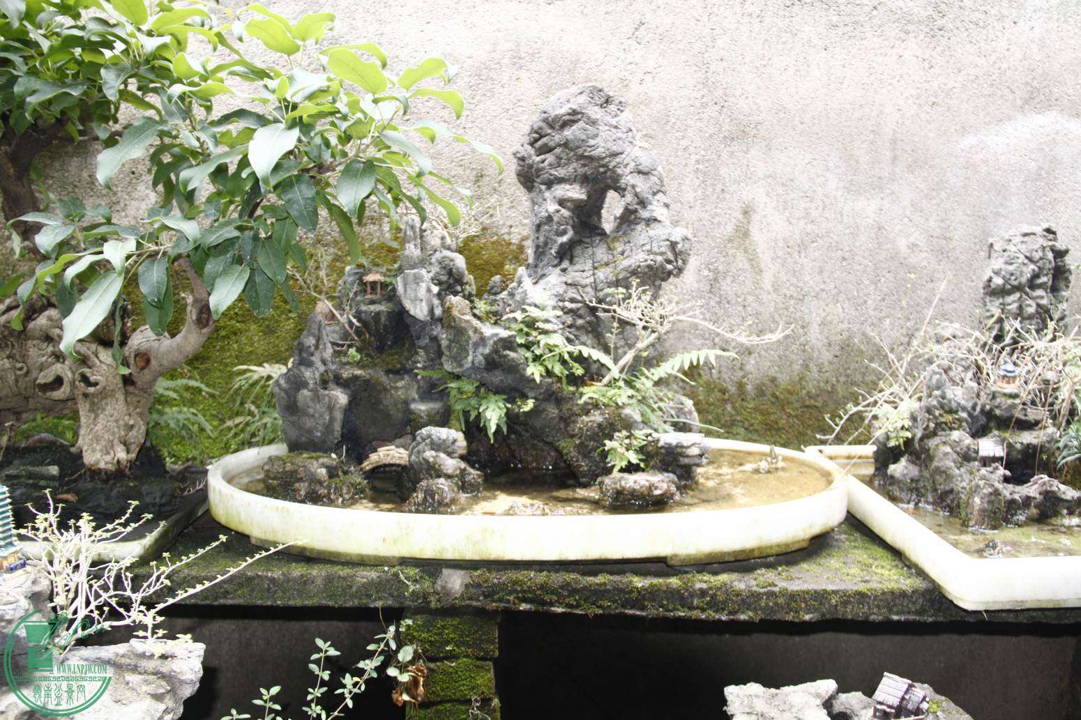 _MG_2009.jpg