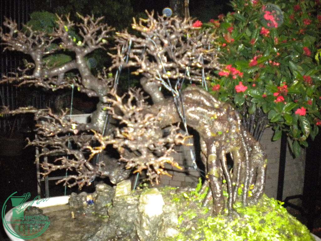 DSCN8125.JPG