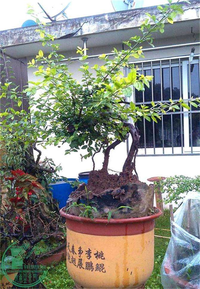 ȸ÷׮23IMG_20150614_081815_ͼ_2345ͼ_ͼ.jpg