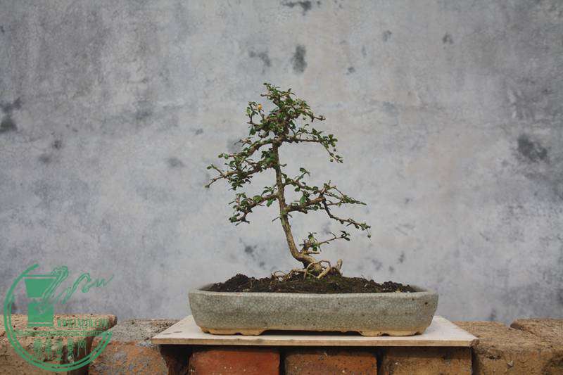 Ƭ20131026ۺ 3360.jpg