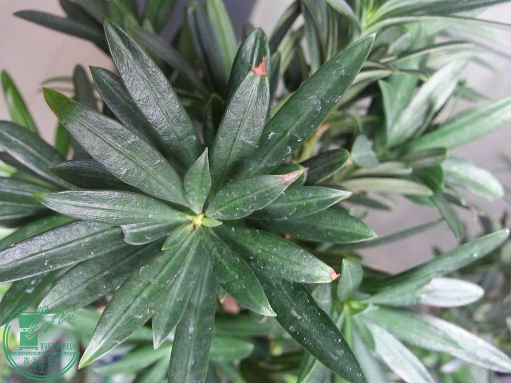 20150615_112206_.jpg