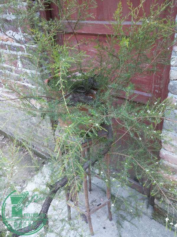 20150614_171125.jpg