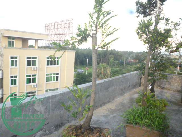 P1140092.JPG