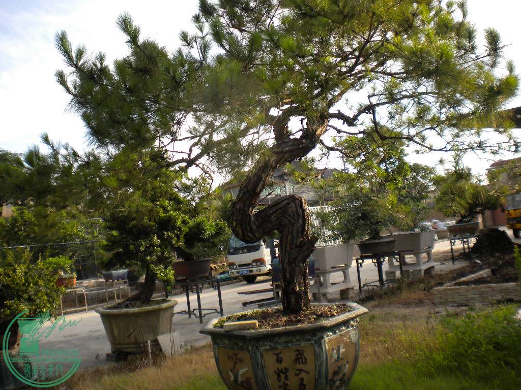 DSCN8282.JPG