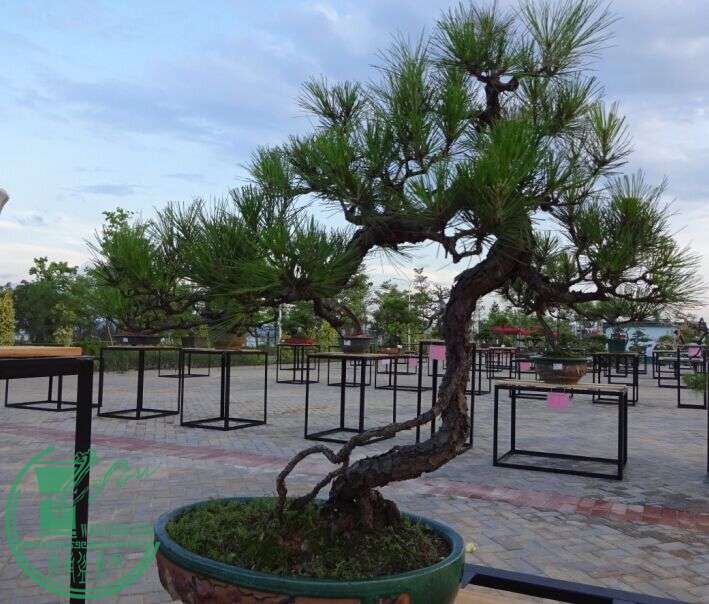 QQͼƬ20150616220441.jpg