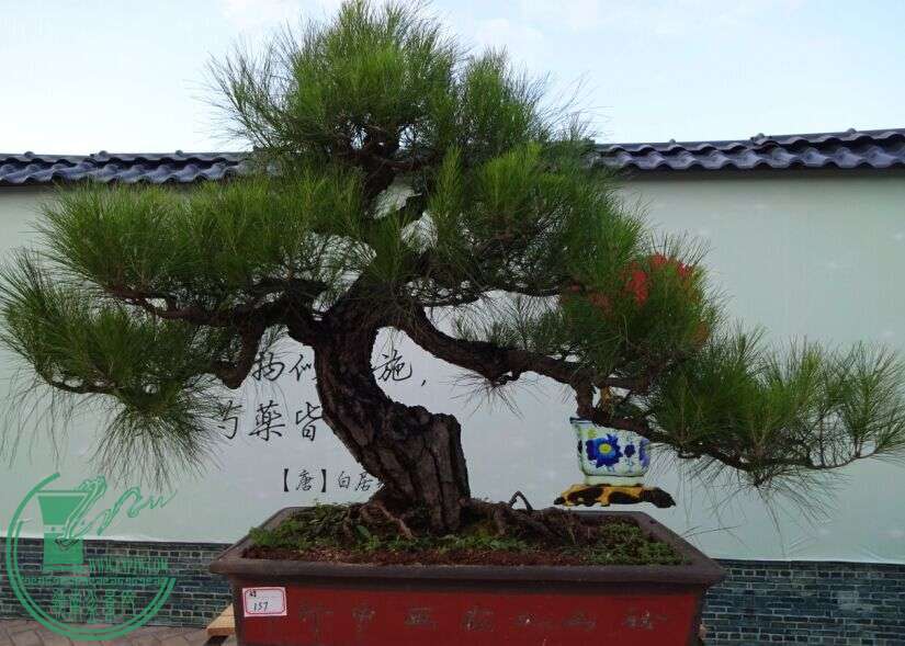 QQͼƬ20150616220459.jpg