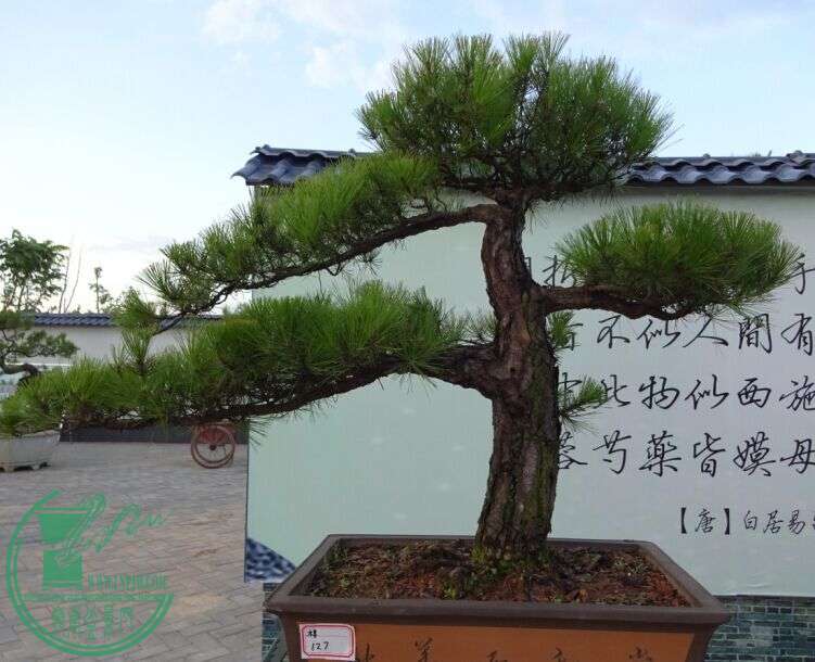 QQͼƬ20150616220503.jpg