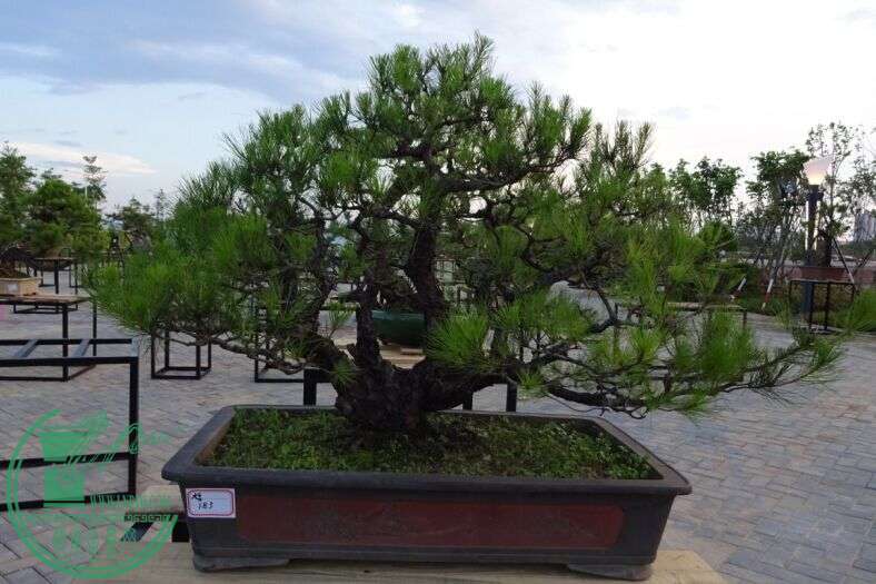 QQͼƬ20150616220511.jpg