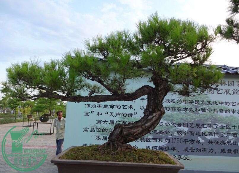 QQͼƬ20150616220552.jpg