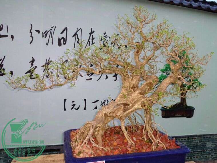 QQͼƬ20150616220655.jpg