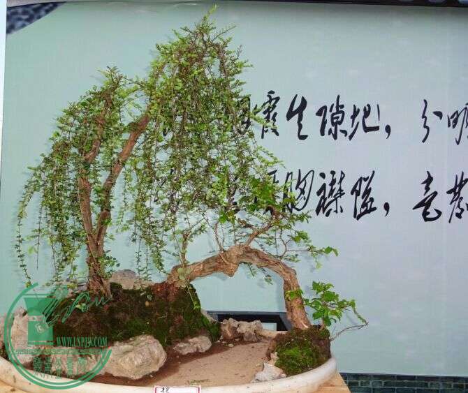 QQͼƬ20150616220658.jpg