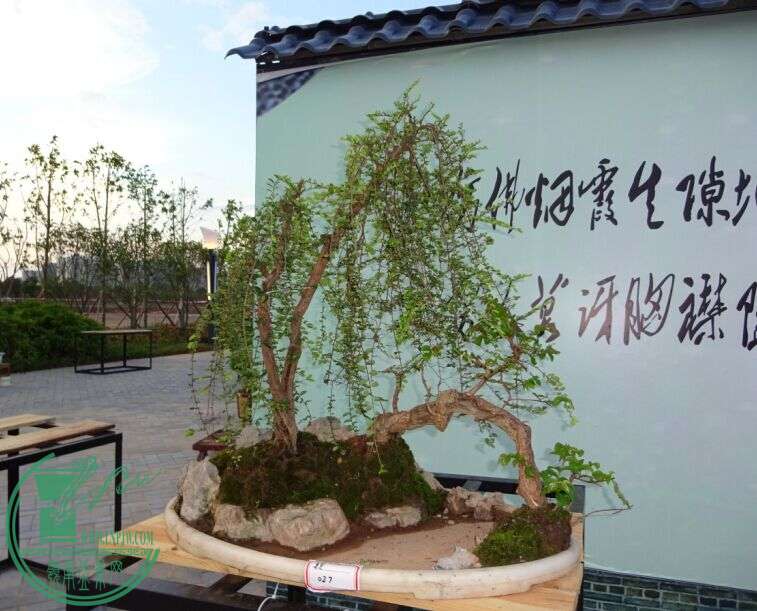 QQͼƬ20150616220708.jpg