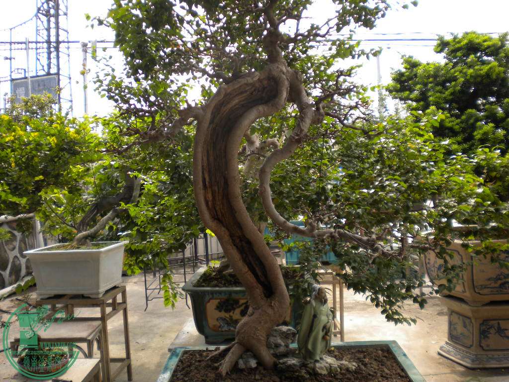 DSCN8130.JPG