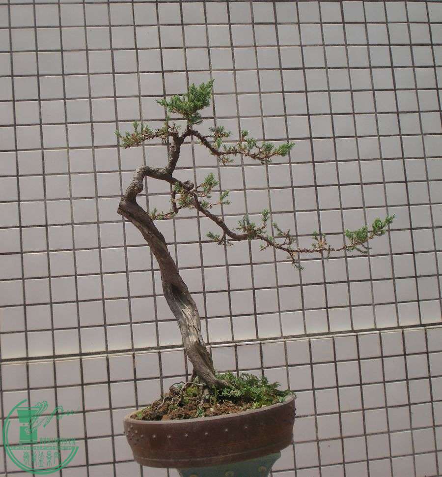 DSC00795.JPG