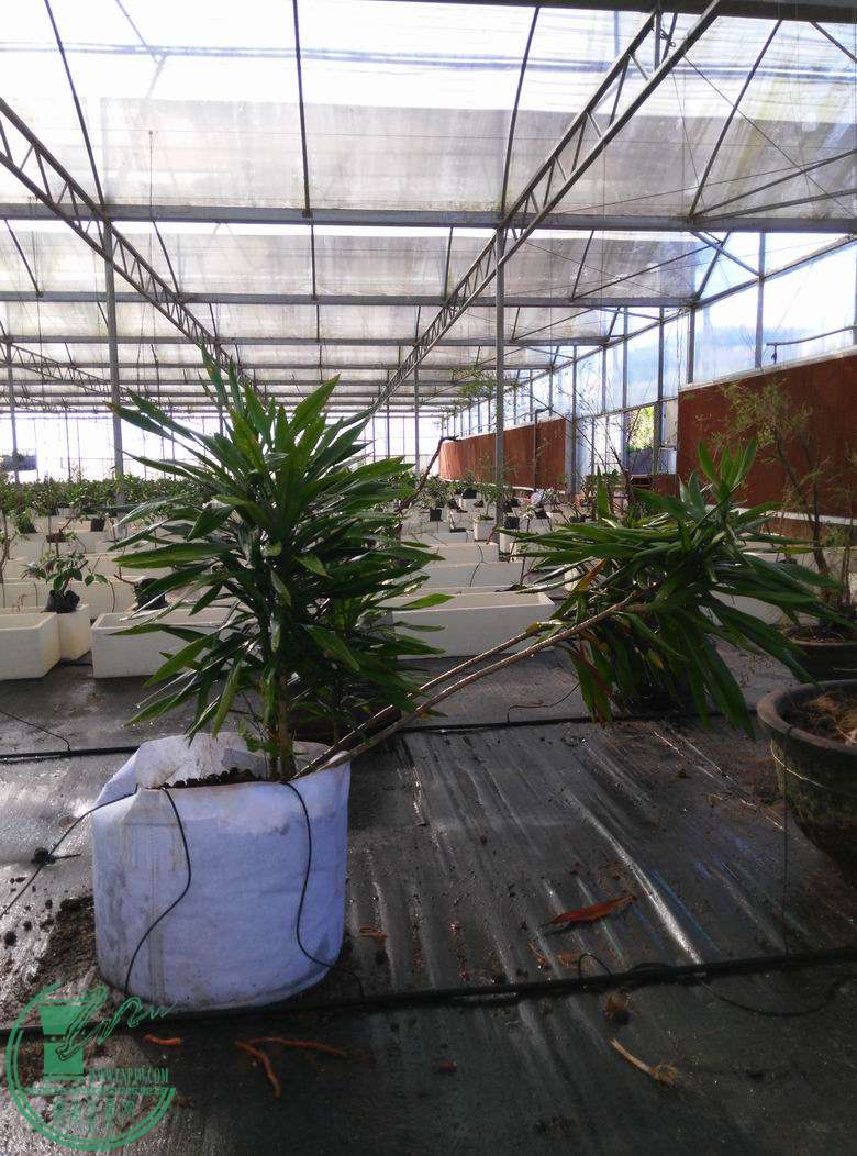 С ת IMG_20150617_083116.jpg