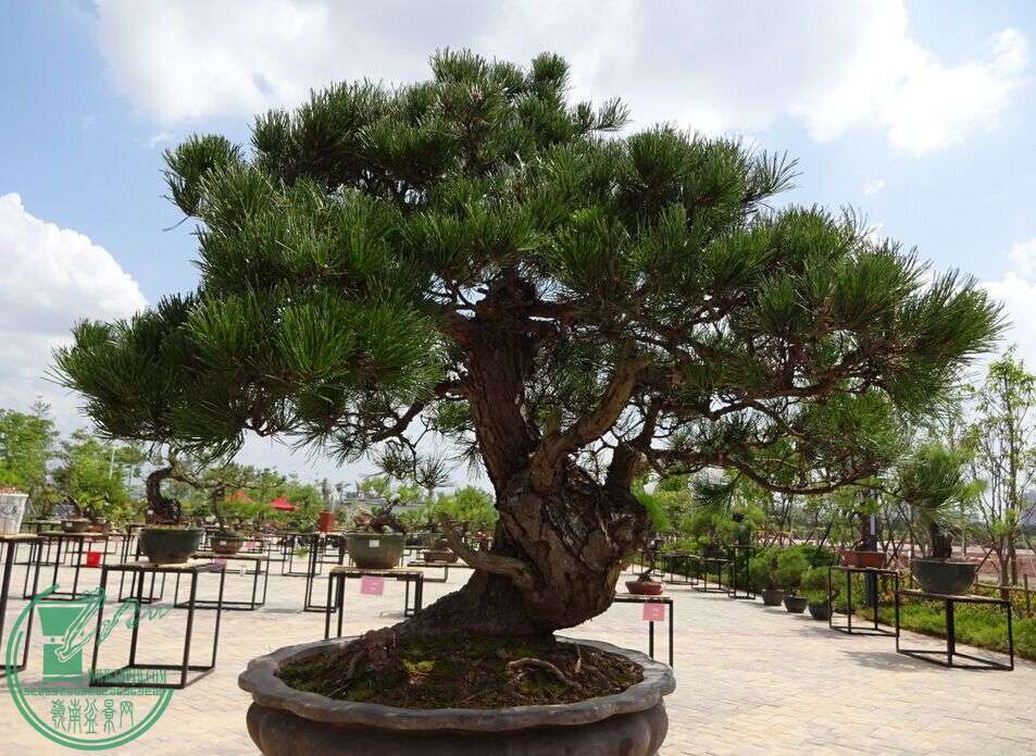 QQͼƬ20150617180021.jpg