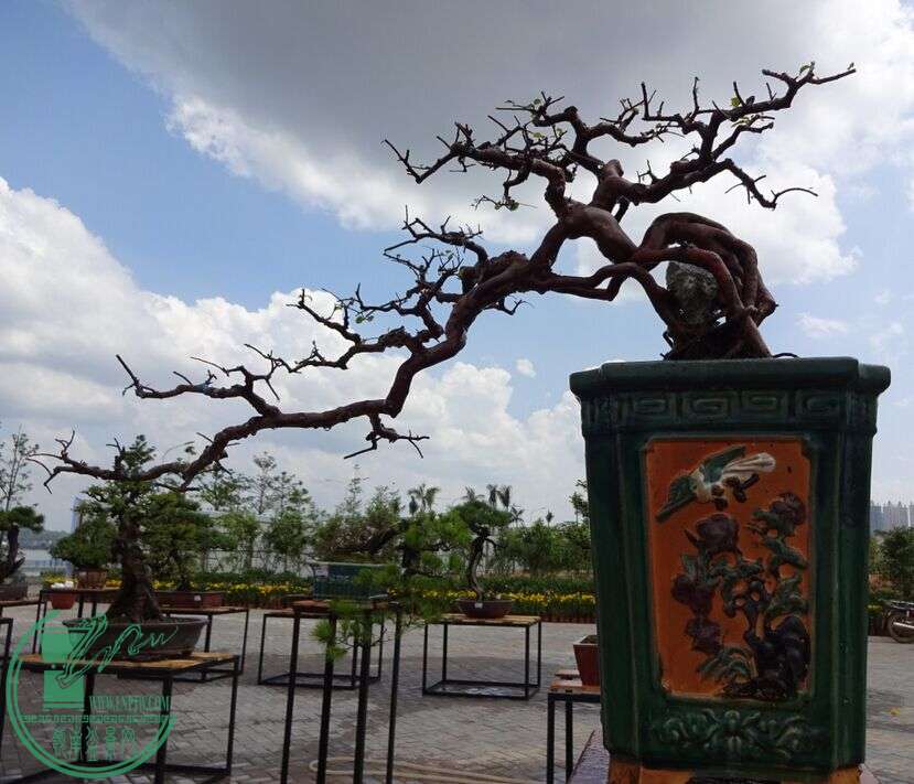 QQͼƬ20150617180030.jpg