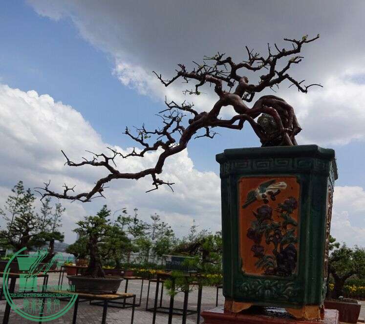 QQͼƬ20150617180035.jpg