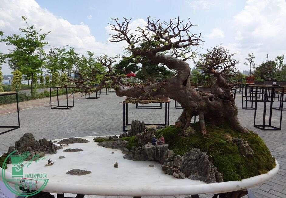 QQͼƬ20150617180107.jpg