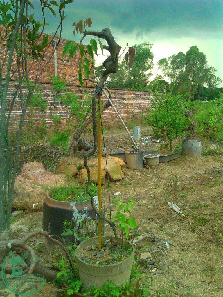  YP20150617183421.jpeg