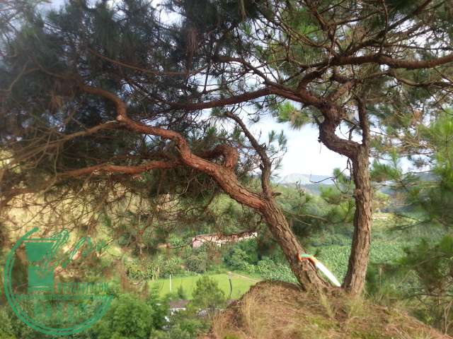 20150617_175901.jpg