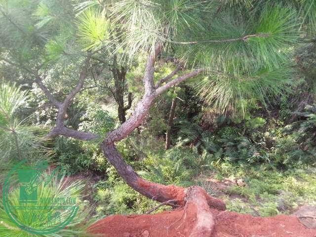 20150618_175253.jpg