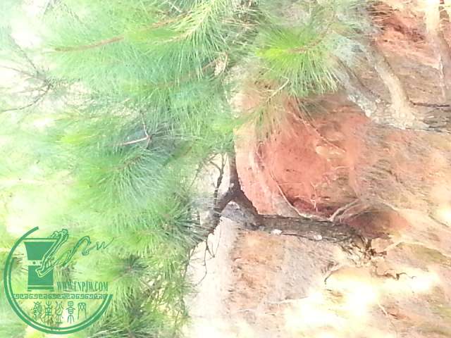 20150618_175113.jpg