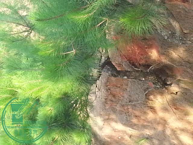 20150618_173702.jpg