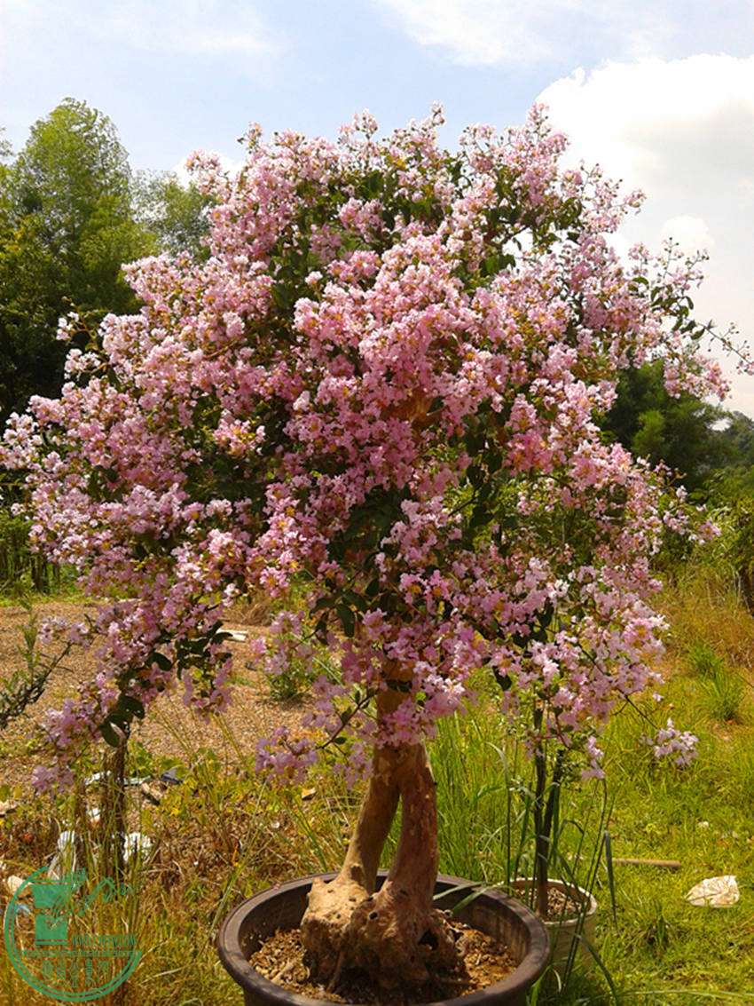 20150618_105527.jpg